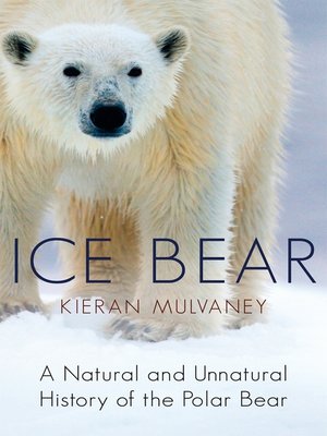 cover image of Ice Bear